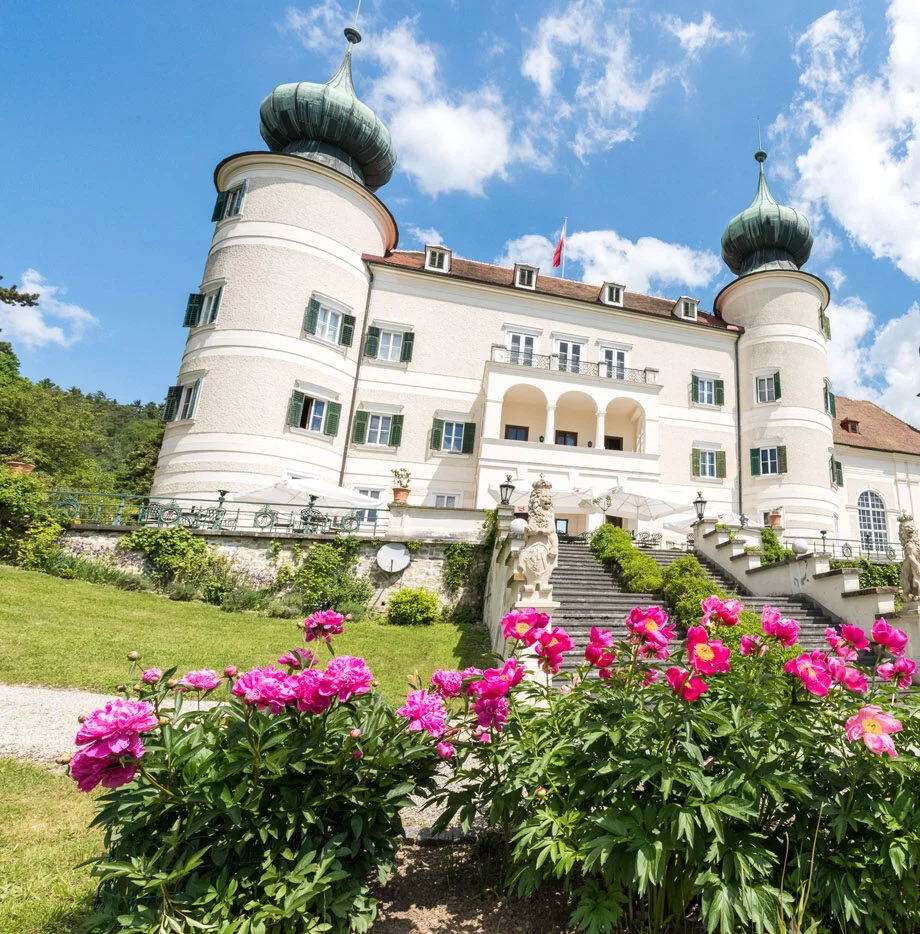 Schloss Artstetten 5 HP SCHLOSSPARK PFINGSTROSEN e1673873071835