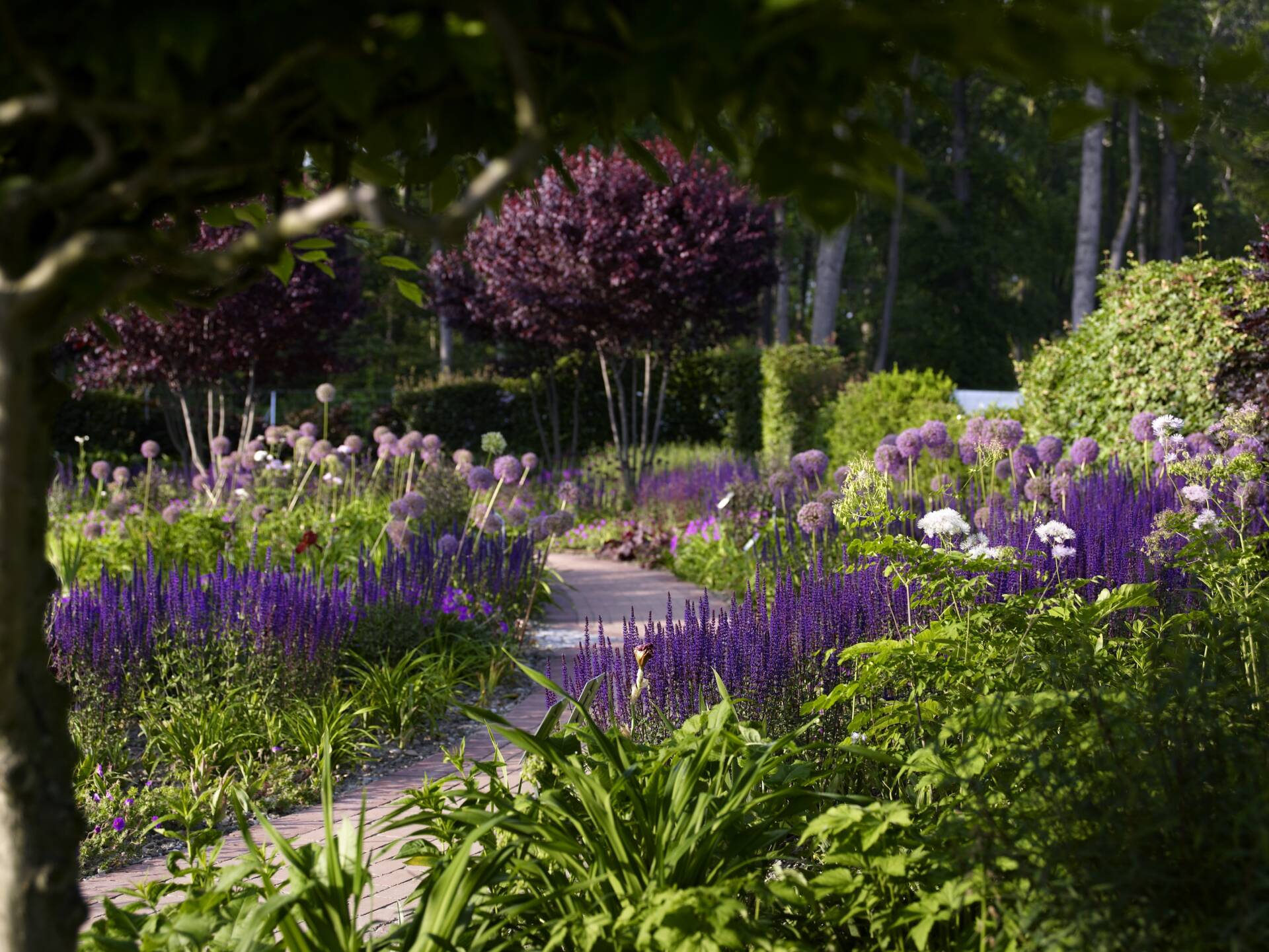 Blütenpracht mit Stauden